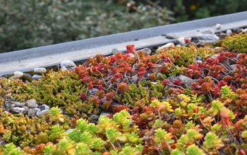 the cost of Plush green roof installation