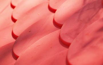 Plush plastic roof costs