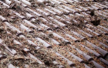 Plush roof cleaning companies