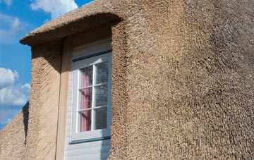 Plush thatch roof disadvantages