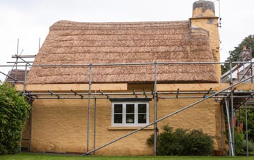 Plush thatch roofing costs