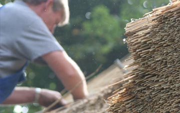 professional Plush thatchers