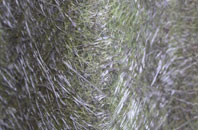 Plush fibreglass roof work