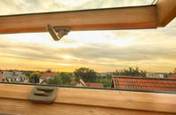 rated Plush roof window companies